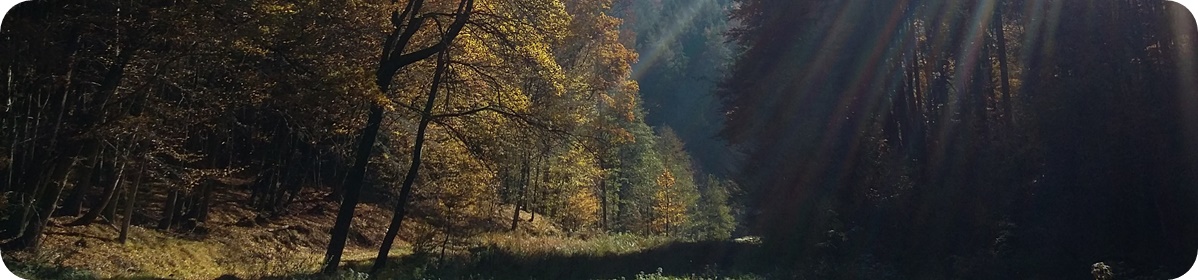 Ruhe Achtsamkeit Innenschau